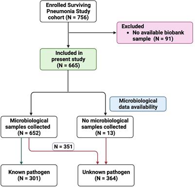 Autoantibodies targeting interferons and GM-CSF are associated with adverse outcome risk, comorbidities, and pathogen in community-acquired pneumonia